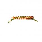 P/N:FAGSM.Spring-2,Spring Antenna,inner antenna GSM850/900/1800/1900MHZ,customize size