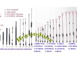 BY-All Kinds of Rubber and Whip,all kinds of antenna rubber housing or whip ,customized